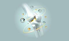 बुढ़ापे में भी लोहे जैसी मजबूत रहेंगी हड्डियां, रोज की डाइट में शामिल करें ये चीजें