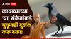 Chanakya Niti : कावळ्याच्या 'या' संकेतांकडे चुकूनही दुर्लक्ष करू नका; कोसळेल संकटांचा डोंगर, चाणक्य सांगतात...