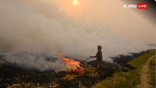 Punjab News: ਪਰਾਲੀ ਸਾੜਨ ਦੇ ਮਾਮਲੇ 4500 ਪਾਰ, ਕਮਿਸ਼ਨ ਵੱਲੋਂ ਸਖਤ ਐਕਸ਼ਨ, 8 ਜ਼ਿਲ੍ਹਿਆਂ ਦੇ DC ਤੇ SSP ਨੂੰ ਨੋਟਿਸ ਜਾਰੀ