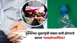 Men Health: काय सांगता! पुरुषांच्या शुक्राणूंची संख्या कमी होण्याचे कारण 'मायक्रोप्लास्टिक?' संशोधनात शास्त्रज्ञांना नेमकं काय आढळलं?