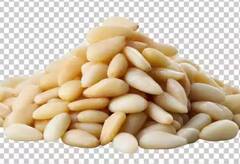 ਪੋਸ਼ਕ ਤੱਤਾਂ ਦਾ ਪਾਵਰਹਾਊਸ ਆਹ ਨਟਸ, ਦੁੱਧ 'ਚ ਪਾ ਕੇ ਖਾਣ ਨਾਲ ਦੂਰ ਹੋ ਜਾਂਦੀਆਂ ਕਈ ਬਿਮਾਰੀਆਂ