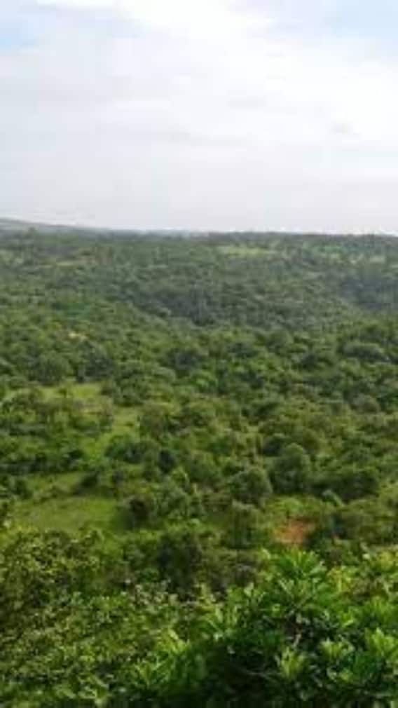 यूपी के सोनभद्र का पुराना नाम क्या था?