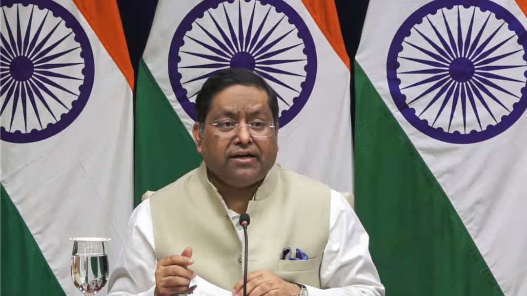 'We Urge Bangladesh To Take Action Against Extremist Elements': India After Attack On Hindus In Chittagong We Urge Bangladesh To Take Action Against Extremist Elements ensure safety of hindus India After Attack In Chittagong 'We Urge Bangladesh To Take Action Against Extremist Elements': India After Attack On Hindus In Chittagong