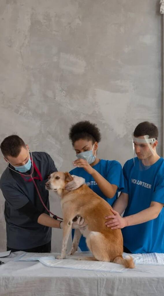 इस जानवर को कभी नहीं हो सकता है कैंसर