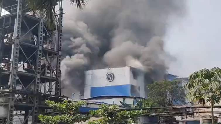 Gujarat Valsad Fire At Pharma Company Factory Video Gujarat: Massive Fire Breaks Out At Valsad Pharma Company's Factory: VIDEO
