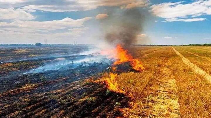 लेकिन अब पंजाब हरियाणा समेत अन्य राज्यों में पराली जलाने वाले किसानों के लिए नियम और सख्त कर दिए गए हैं. मिनिस्ट्री आफ एनवायरमेंट, फॉरेस्ट एंड क्लाइमेट चेंज के नए नोटिफिकेशन के तहत पराली जलाने पर जुर्माना बढ़ा दिया गया है.