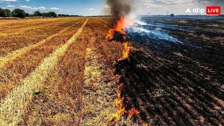 CRM Machine Technology For Stubble: पराली जलाने वाले किसानों के लिए नियम और सख्त कर दिए गए हैं. पराली जलाने पर जुर्माना डबल कर दिया गया है. जलाने के बजाए इस तकनीक का इस्तेमाल कर सकते हैं किसान.