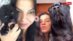 बिल्ली का बच्चा समझ खतरनाक पैंथर पाल रही थी महिला! सच्चाई सामने आने के बाद उठाया ये कदम