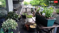 बेंगलुरु के कपल ने फेसबुक पर डाली घर पेड़ पौधों की पोस्ट, उठा ले गई पुलिस, जानिए क्यों?