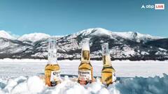 શું આપણે ખરેખર શિયાળામાં ઠંડી બીયર ન પીવી જોઈએ? જાણો શું છે કારણ