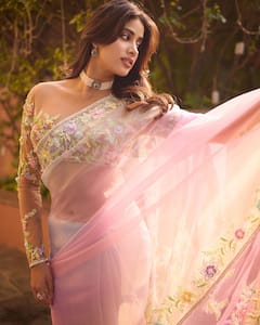 Janhvi Kapoor : నెట్టెడ్ శారీలో జాన్వీ కపూర్.. బ్లౌజ్ డిజైన్ చూశారా?