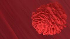 Haemoglobin: ঘরোয়া উপায়ে কীভাবে রক্তে হিমোগ্লোবিনের মাত্রা বাড়াবেন ?