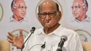 Maharashtra: MVA માંથી કોણ હશે CM ચહેરો ? શરદ પવારે આપ્યું મોટુ અપડેટ  