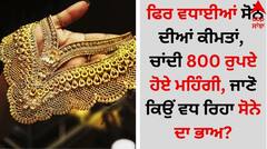 ਸੋਨੇ ਦੀਆਂ ਕੀਮਤਾਂ ਨੇ ਛੂਹੀਆ ਆਸਮਾਨ ? ਚਾਂਦੀ 800 ਰੁਪਏ ਪਾਰ, ਜਾਣੋ ਕਿਉਂ ਵਧ ਰਿਹਾ ਭਾਅ?