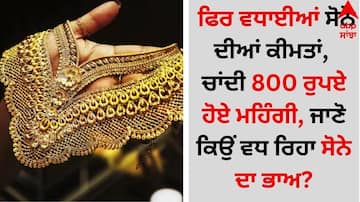 Gold-Silver Rate Today: ਸੋਨੇ ਦੀਆਂ ਕੀਮਤਾਂ ਨੇ ਛੂਹੀਆ ਆਸਮਾਨ ? ਚਾਂਦੀ 800 ਰੁਪਏ ਪਾਰ, ਜਾਣੋ ਕਿਉਂ ਵਧ ਰਿਹਾ ਭਾਅ?