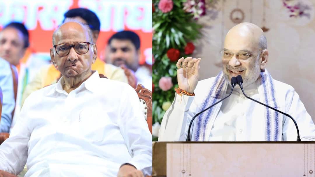 Amit Shah says Sharad Pawar and company did not visit Ram temple Maharashtra Vidhansabha Election 2024 Maharashtra Assembly Election Maharashtra Politics Marathi News Amit Shah : शरद पवार आणि कंपनी राम मंदिरात दर्शनाला गेले नाहीत : अमित शाह