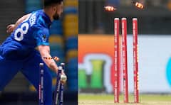 Photos: इंटरनेशनल मैच में इस्तेमाल होने वाले स्टंप्स की कितनी होती है कीमत