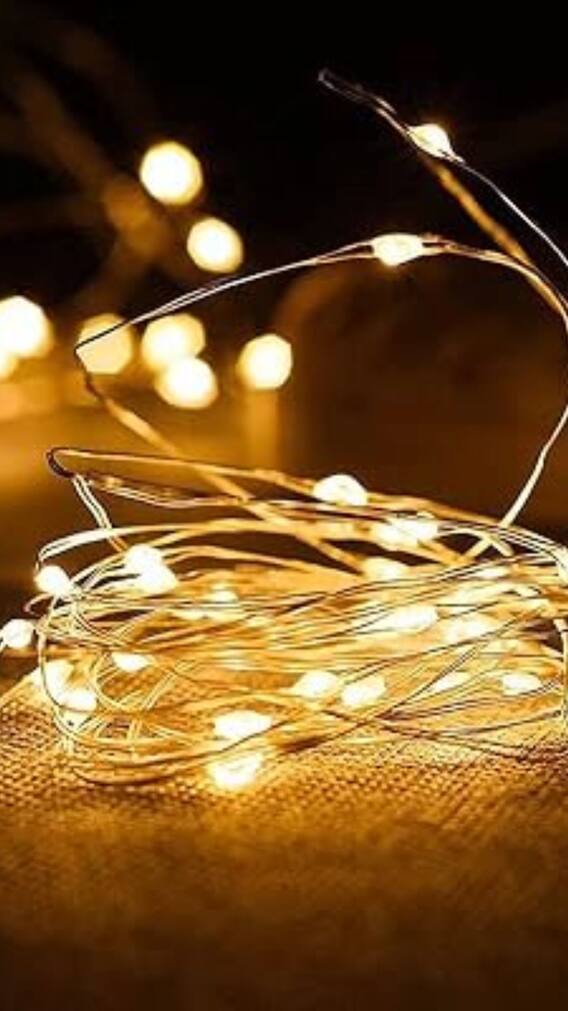 एक दिन में कितनी बिजली खपत करती है Rice Lights!