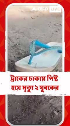 মর্মান্তিক মৃত্যু বনগাঁয়, ট্রাকের চাকায় পিষ্ট হয়ে মৃত্যু ২ যুবকের