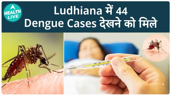 Dengue Surge in Ludhiana: 301 Cases Reported This Year, 44 in First Week of November