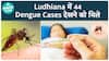 Dengue Surge in Ludhiana: 301 Cases Reported This Year, 44 in First Week of November