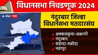 Nandurbar District Vidhan Sabha Election 2024: नंदुरबार जिल्ह्यातही महायुतीचंच वर्चस्व, विजयी उमेदवारांची यादी, वाचा एका क्लिकवर