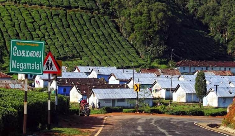 Megamalai people is affected due to weather conditions - TNN Megamalai : சீதோஷ்ண நிலையால் மேகமலை மக்களின் இயல்பு வாழ்க்கை பாதிப்பு