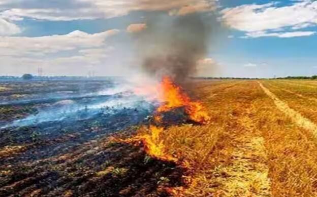 ਦੀਵਾਲੀ ਤੋਂ ਬਾਅਦ ਉੱਤਰੀ ਭਾਰਤ ਦੇ ਰਾਜਾਂ ਵਿੱਚ ਹਵਾ ਪ੍ਰਦੂਸ਼ਣ ਦਾ ਪੱਧਰ ਵੱਧ ਜਾਂਦਾ ਹੈ। ਕਿਉਂਕਿ ਦੀਵਾਲੀ 'ਤੇ ਪਟਾਕੇ ਵੱਡੀ ਮਾਤਰਾ 'ਚ ਬਜਾਏ ਜਾਂਦੇ ਹਨ। ਜਿਸ ਕਾਰਨ ਹਵਾ ਵਿੱਚ ਪ੍ਰਦੂਸ਼ਣ ਫੈਲਦਾ ਹੈ। ਇਸ ਤੋਂ ਇਲਾਵਾ ਪਰਾਲੀ ਸਾੜਨ ਨਾਲ ਹਵਾ ਦੀ ਗੁਣਵੱਤਾ ਵੀ ਖ਼ਰਾਬ ਹੋ ਜਾਂਦੀ ਹੈ। ਪਰ ਹੁਣ ਪੰਜਾਬ ਅਤੇ ਹਰਿਆਣਾ ਸਮੇਤ ਹੋਰ ਰਾਜਾਂ ਵਿੱਚ ਪਰਾਲੀ ਸਾੜਨ ਵਾਲੇ ਕਿਸਾਨਾਂ ਲਈ ਨਿਯਮ ਹੋਰ ਸਖ਼ਤ ਕਰ ਦਿੱਤੇ ਗਏ ਹਨ। ਵਾਤਾਵਰਣ, ਜੰਗਲਾਤ ਅਤੇ ਜਲਵਾਯੂ ਪਰਿਵਰਤਨ ਮੰਤਰਾਲੇ ਦੇ ਨਵੇਂ ਨੋਟੀਫਿਕੇਸ਼ਨ ਦੇ ਤਹਿਤ ਪਰਾਲੀ ਸਾੜਨ ਦੇ ਜੁਰਮਾਨੇ ਵਿੱਚ ਵਾਧਾ ਕੀਤਾ ਗਿਆ ਹੈ।