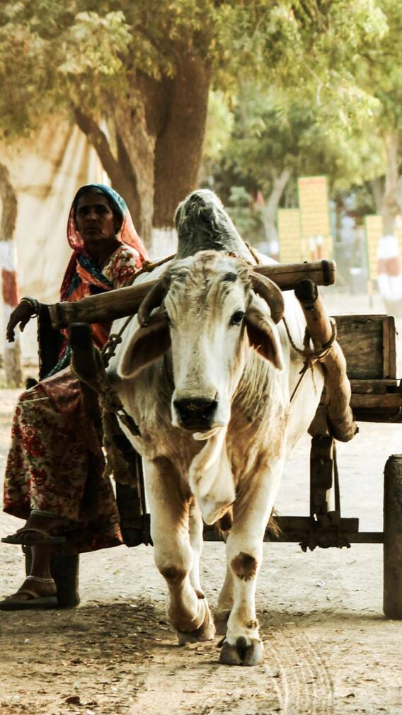 भारत तो छोड़िए पूरी दुनिया में गुजरात का ये गांव है सबसे अमीर
