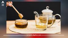 ਸ਼ਹਿਦ ਨਾਲ ਇਹ 5 ਚੀਜ਼ਾਂ ਖਾਣੀਆਂ ਪੈ ਸਕਦੀਆਂ ਭਾਰੀ! ਸਿਹਤ ਹੋ ਸਕਦੇ ਇਹ ਨੁਕਸਾਨ...ਵਰਤੋਂ ਤੋਂ ਪਹਿਲਾਂ ਜ਼ਰੂਰ ਪੜ੍ਹ ਲਓ