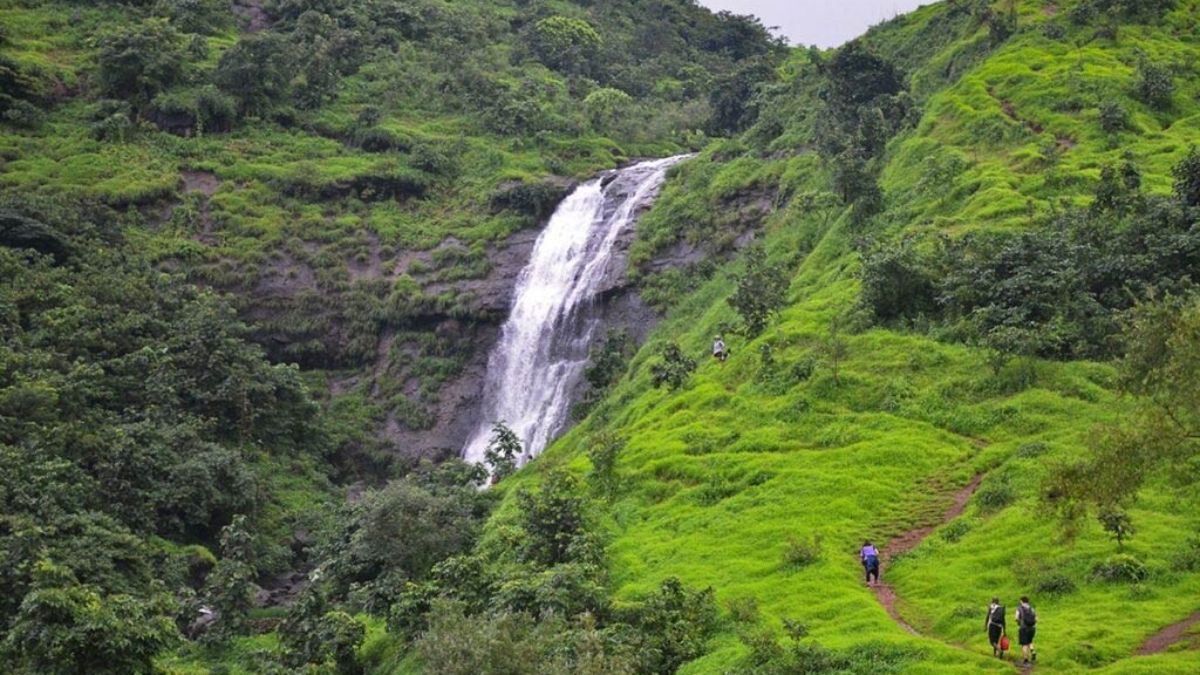 Winter Travel: मुंबई-ठाण्यापासून अवघ्या काही अंतरावर 'ही' मनमोहक ठिकाणं, थंडीत वीकेंड डेस्टिनेशन पॉइंट बनवू शकता...