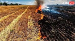 ਪਰਾਲੀ ਨੂੰ ਸਾੜਨ ਦੀ ਬਜਾਏ ਇਦਾਂ ਟਿਕਾਣੇ ਲਗਾ ਸਕਦੇ ਕਿਸਾਨ, ਨਹੀਂ ਲੱਗੇਗਾ ਡਬਲ ਜੁਰਮਾਨਾ