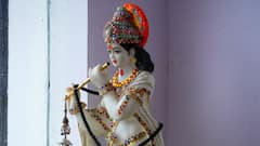 Gopashtami 2024: Rituals, Significance, And All You Need To Know About This Day