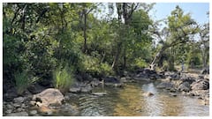 నిర్మల్ జిల్లాలో హడలెత్తిస్తున్న పెద్దపులి- మహారాష్ట్ర దాటిందనుకుంటే కుంటాలలో ప్రత్యక్షం  