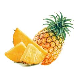 अननसाचे 'हे' आरोग्यदायी फायदे एकदा वाचाच