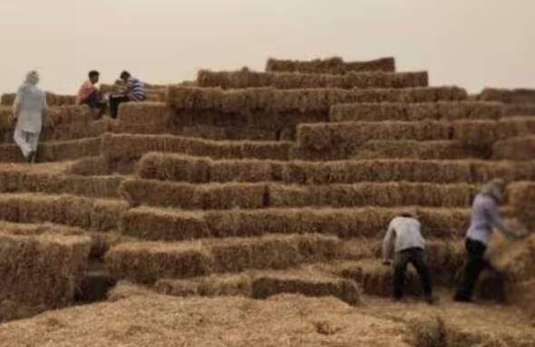 ਪਰਾਲੀ ਨੂੰ ਸਾੜਨ ਦੀ ਬਜਾਏ ਜੇਕਰ ਕਿਸਾਨ ਇਨ੍ਹਾਂ ਸੀਆਰਐਮ ਮਸ਼ੀਨਾਂ ਰਾਹੀਂ ਇਨ-ਸੀਟੂ ਅਤੇ ਐਕਸ-ਸੀਟੂ ਤਰੀਕਿਆਂ ਨਾਲ ਪਰਾਲੀ ਦਾ ਪ੍ਰਬੰਧਨ ਕਰਨ। ਇਸ ਲਈ ਉਨ੍ਹਾਂ ਨੂੰ ਦੁੱਗਣਾ ਜੁਰਮਾਨਾ ਵੀ ਨਹੀਂ ਦੇਣਾ ਪਵੇਗਾ ਅਤੇ ਉਨ੍ਹਾਂ ਦੀ ਪਰਾਲੀ ਦਾ ਪ੍ਰਬੰਧਨ ਵੀ ਬਹੁਤ ਆਸਾਨੀ ਨਾਲ ਕੀਤਾ ਜਾਵੇਗਾ।