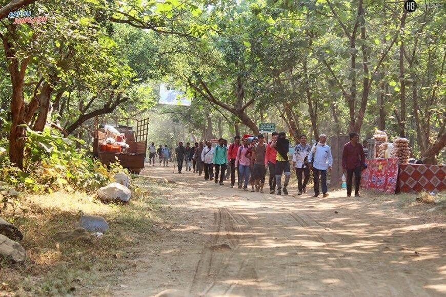 lili Parikrama of Girnar will start from this day, know what is the story of Parikrama connected with Krishna ગિરનારની લીલી પરિક્રમા આ દિવસથી થશે શરૂ, જાણો શું છે પરિક્રમાની કૃષ્ણ સાથે જોડાયેલી ગાથા