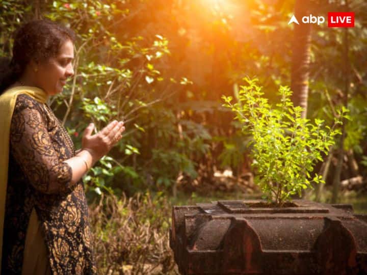 इस दिन कन्या दान करने से शुभ फल की प्राप्ति होती है. इस दिन वस्त्र और आभूषण का दान करना भी बहुत शुभ माना जाता है. ऐसा माना जाता है इस दिन इनका दान करने से व्यक्ति को दोगुना लाभ मिलता है.