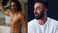 Animal Park से Pathaan 2 तक, जानिए कब आएंगे इन सुपरहिट फिल्मों के सीक्वल ?