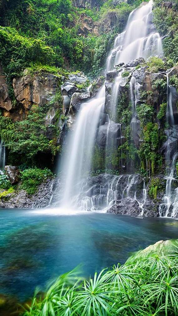 रीवा में झरनों की अद्भुत सुंदरता