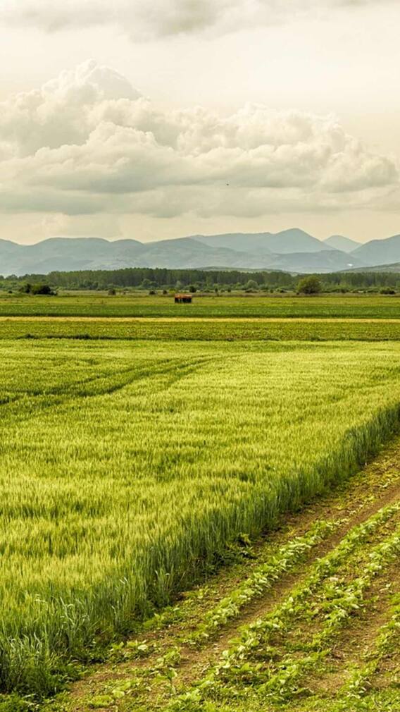 किसानों को कैसे मिलता है KCC का फायदा?