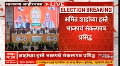 शेतकरी, महिला ते तरूण, भाजपच्या जाहीरनाम्यांत सर्वांसाठी आश्वासनं, 7 मुद्द्यांत समजून घ्या नेमक्या घोषणा काय?