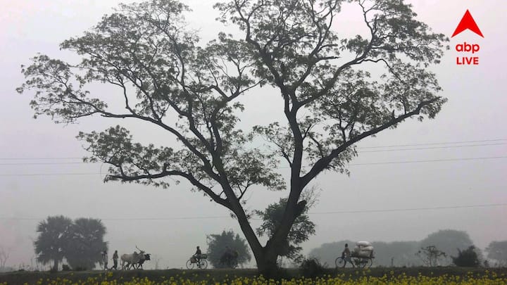 Weather Forecast: আজ রবিবার জগদ্ধাত্রী পুজোর নবমীতে উপকূলবর্তী ৩ জেলা ও উত্তরবঙ্গের  দু’-একটি পার্বত্য় জেলায় হালকা বৃষ্টির সম্ভাবনা রয়েছে।