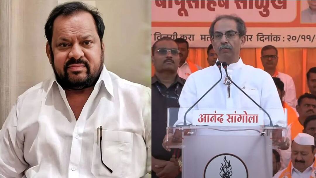 Uddhav Thackeray : 23 तारखेला शहाजीबापूंना तिकीट काढून गुवाहाटीला पाठवा, काय डोंगर-झाडी करुद्या, तिकडं झाडं मोजत बसूद्या; उद्धव ठाकरेंचा सांगोल्यात हल्लाबोल Uddhav Thackeray say Send Shahajibapu Patil a ticket to Guwahati on 23rd let him count the trees in the mountains Uddhav Thackeray attack in Sangola Maharashtra Vidhansabha Election 2024 Maharashtra Politics Marathi News Uddhav Thackeray : 23 तारखेला शहाजीबापूंना तिकीट काढून गुवाहाटीला पाठवा, काय डोंगर-झाडी करुद्या, तिकडं झाडं मोजत बसूद्या; उद्धव ठाकरेंचा सांगोल्यात हल्लाबोल
