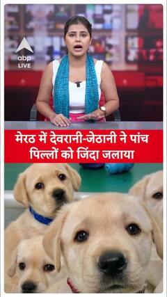 Meerut News: All limits of cruelty crossed in Meerut, sister-in-law and sister-in-law burnt puppies alive