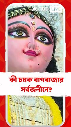 চন্দননগরের বাগবাজার সর্বজনীনের জগদ্ধাত্রী পুজোয় কী চমক?