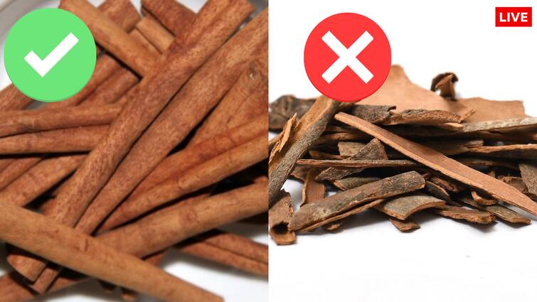 This is how you can identify real and fake cinnamon know about Castor Shell सावधान! ये दालचीनी नहीं है, आपको हमेशा गलत मसाला क्यों दिया जाता है?