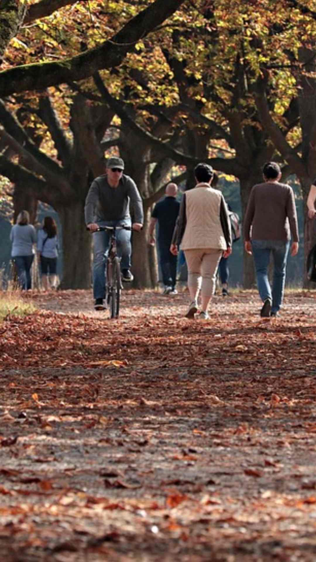इनमें से सबसे ज्यादा