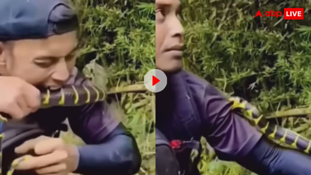 सांप ने काटा तो शख्स ने ऐसे लिया बदला, सांप की हालत देख यूजर्स बोले अब किसी को नहीं काटेगा, देखें वीडियो Man was bitten by a poisonous snake the man also bit the snake and attacked him सांप ने काटा तो शख्स ने ऐसे लिया बदला, सांप की हालत देख यूजर्स बोले अब किसी को नहीं काटेगा, देखें वीडियो