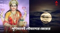 পূর্ণিমাতেই সৌভাগ্যের জোয়ার, ৩ রাশির কাটছে দুঃসময়, আপনিও আছেন তালিকায়?